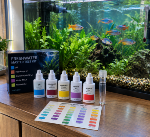 Aquarium water-test kit beside a clear, planted tank with a shoal of colorful rainbow fish swimming in gentle current.
